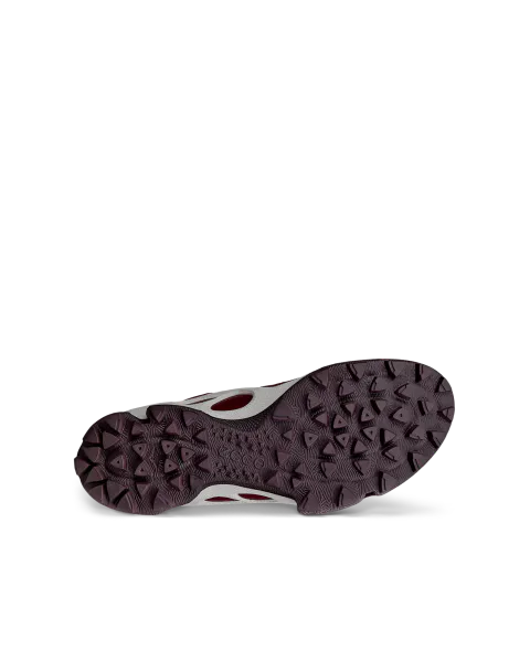 Hovedbilde ECCO Biom C-Trail D GORE-TEX, Dark Ruby